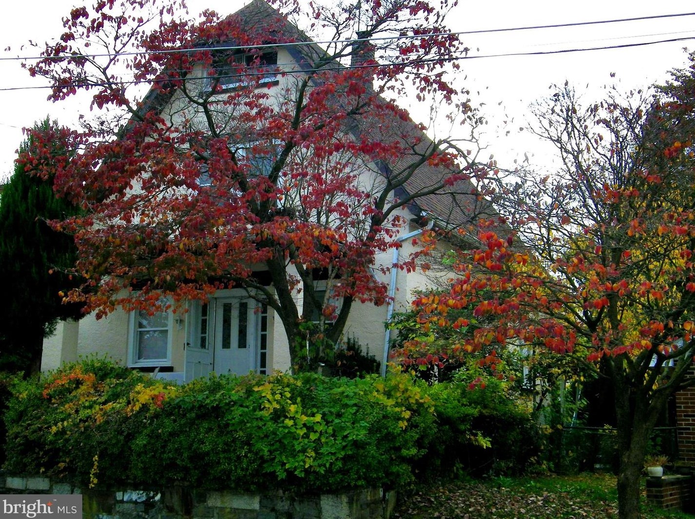 550 Selma St, Philadelphia PA  19116-2822 exterior