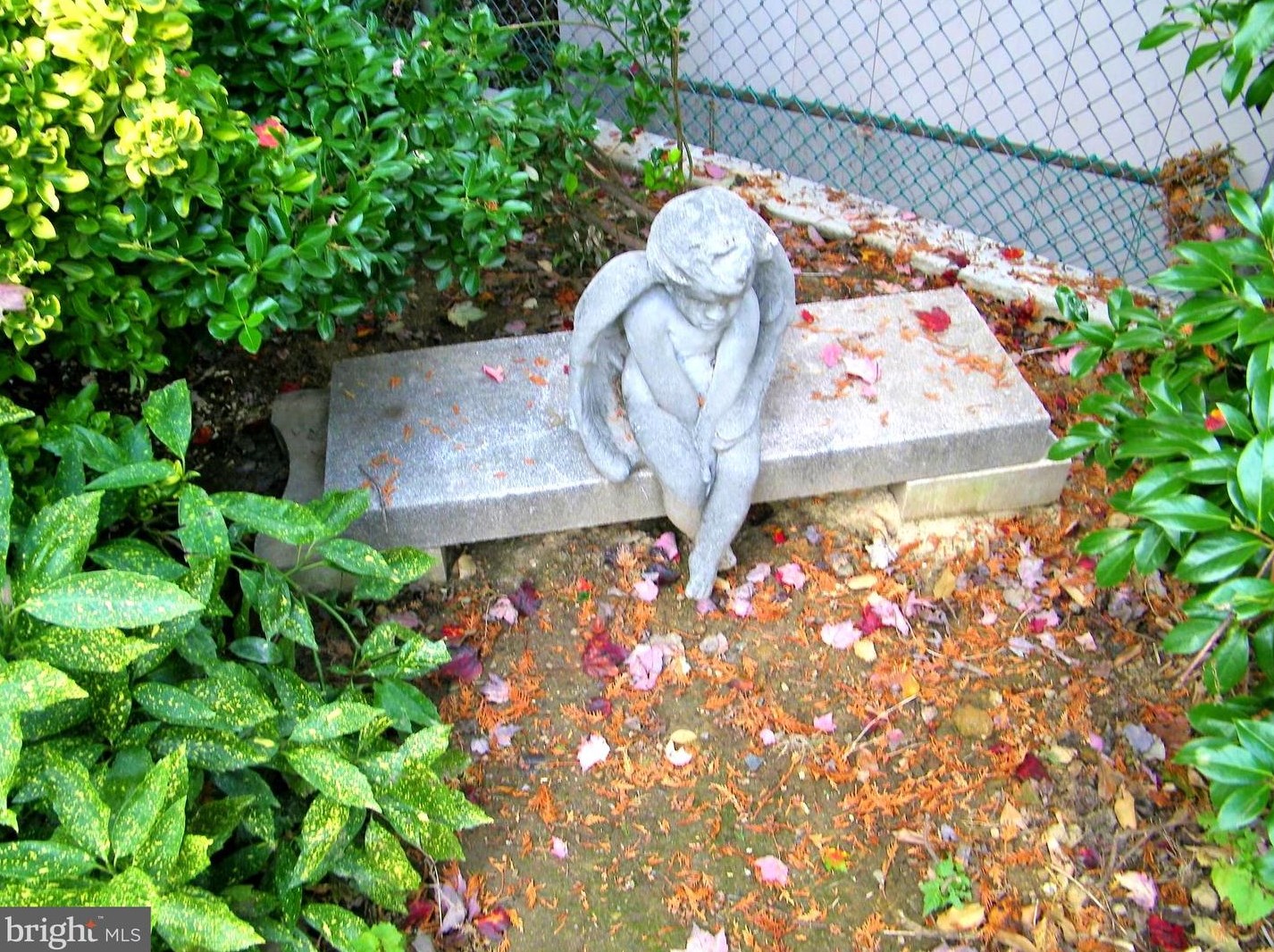 550 Selma St, Philadelphia PA  19116-2822 exterior