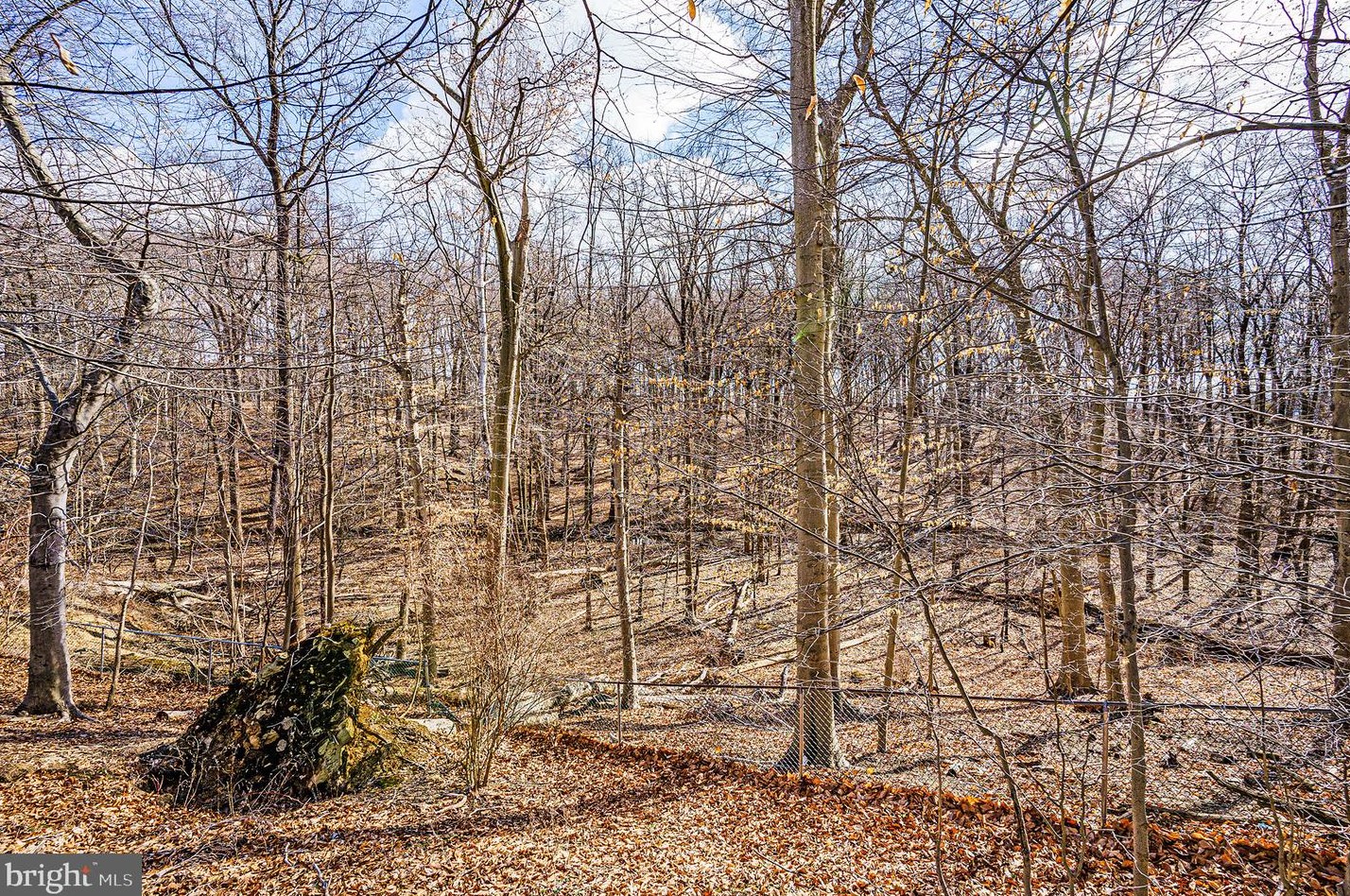 136 Greycourt Rd, Philadelphia, PA 19115-4007