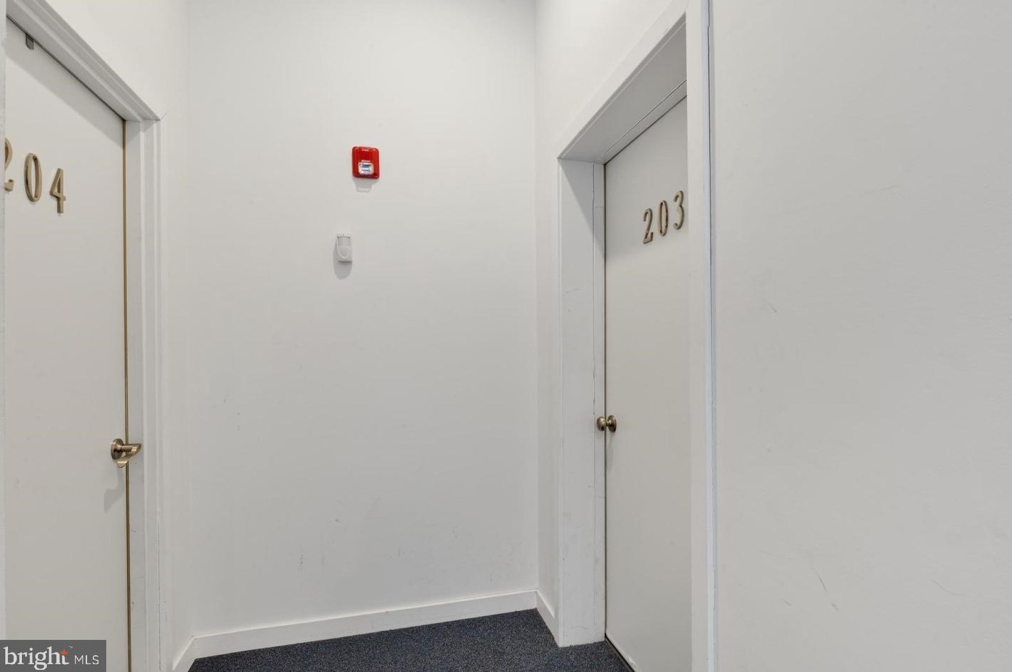 2031 S Juniper St #203, Philadelphia, PA 19148