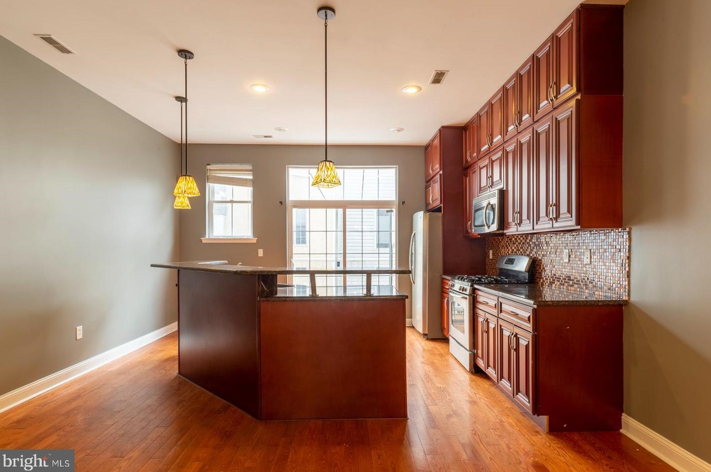 1017 Dorrance St, Philadelphia PA  19146-2650 exterior