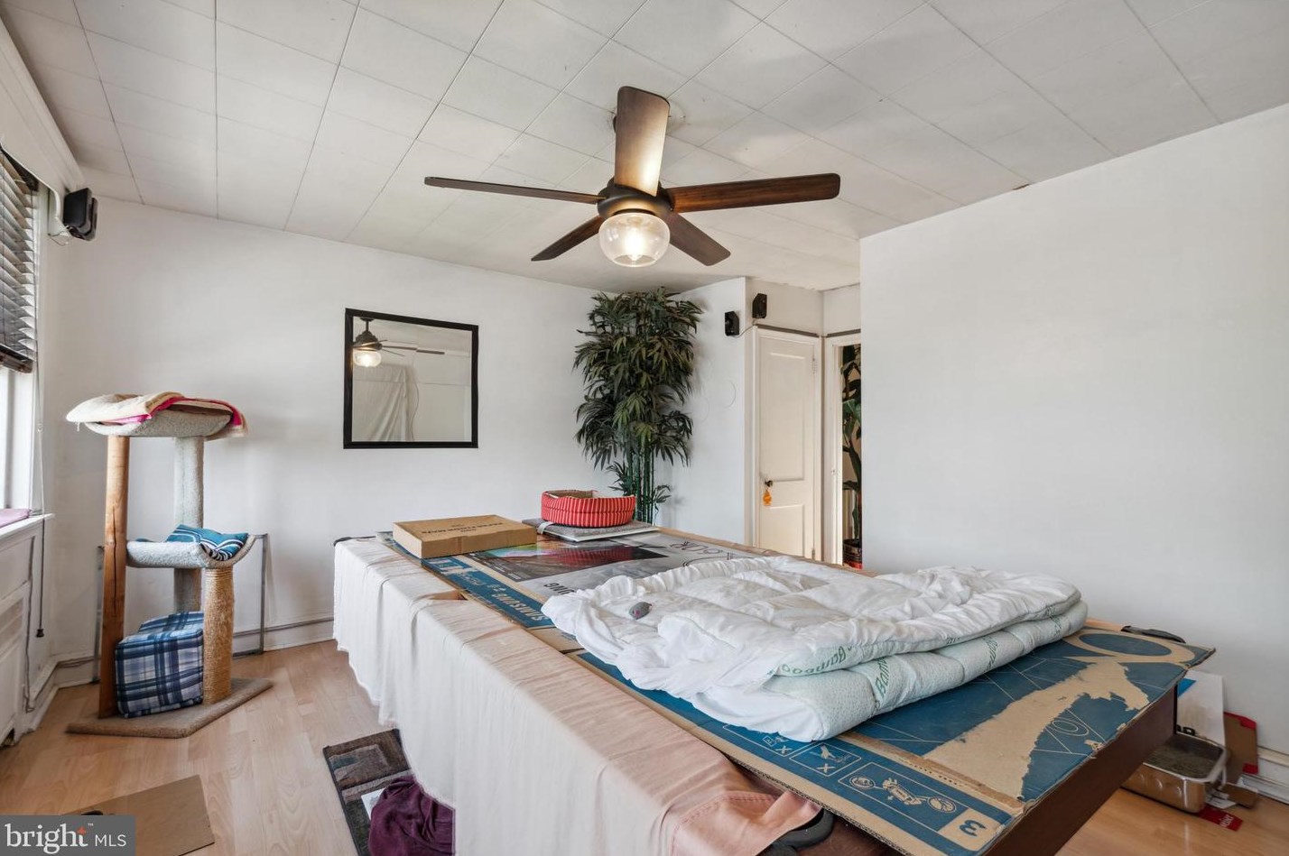 515 Sanger St, Philadelphia PA 19120-1719 exterior