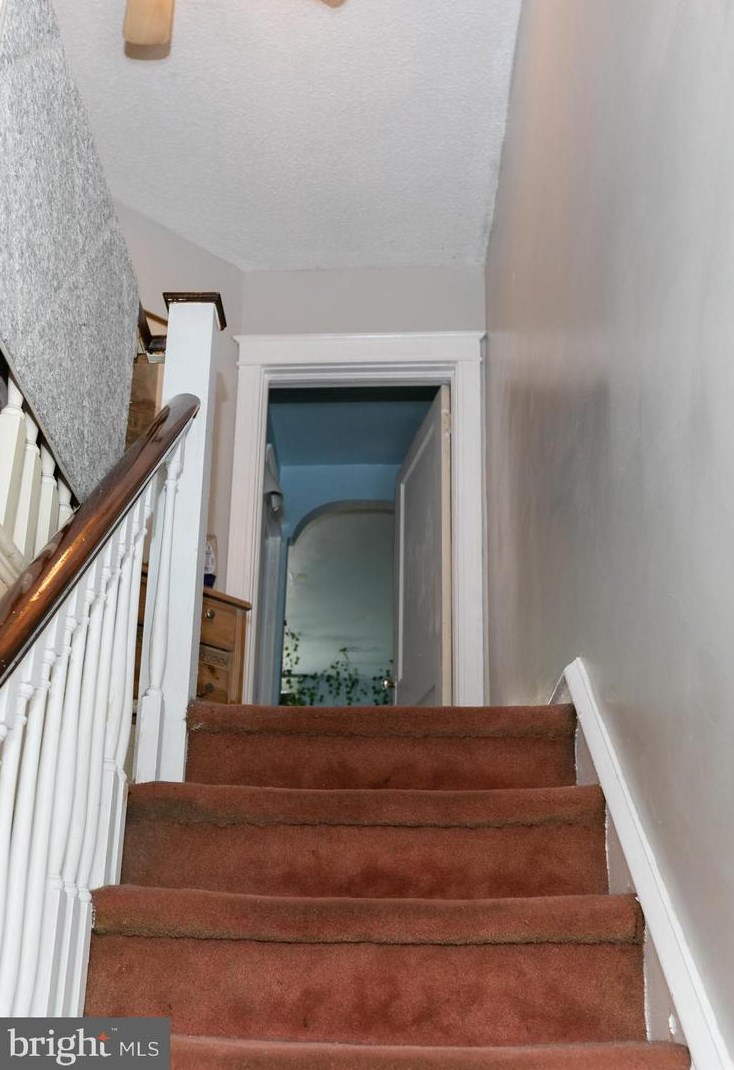 4114 Hellerman St, Philadelphia PA 19149-3134 exterior