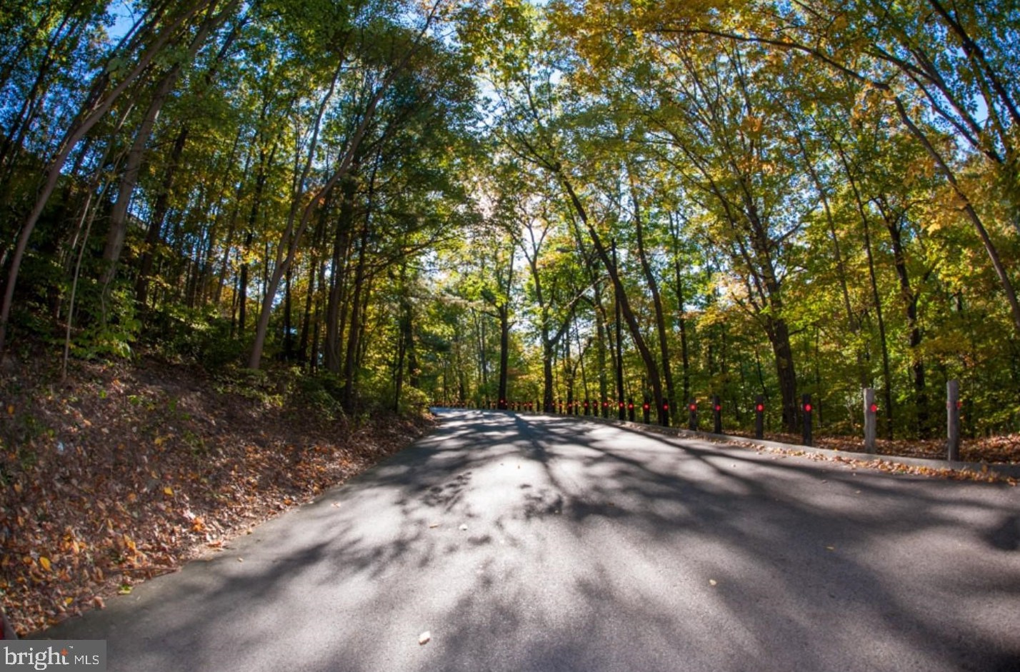 261 Shawmont Ave, Philadelphia PA  19128-4208 exterior