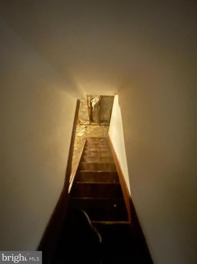 443 Walnut Ln, Philadelphia PA  19144-1054 exterior