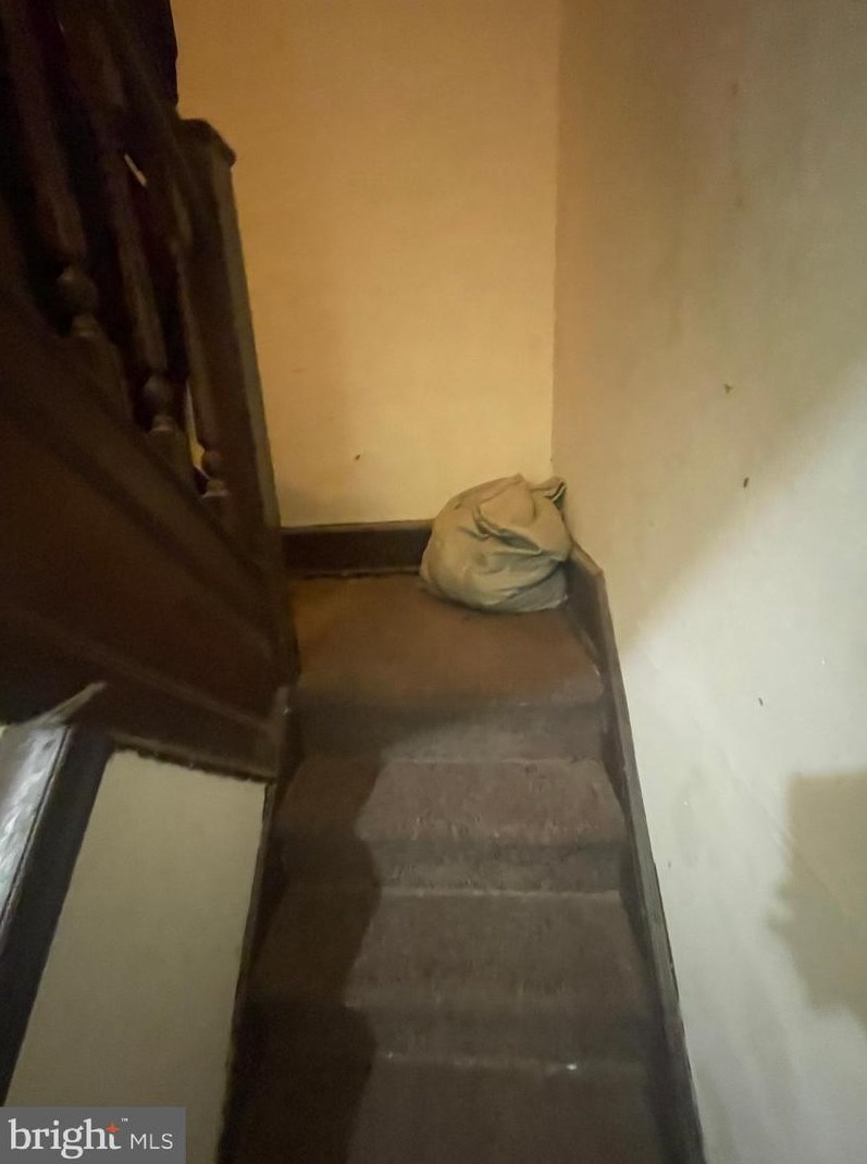 443 Walnut Ln, Philadelphia PA  19144-1054 exterior