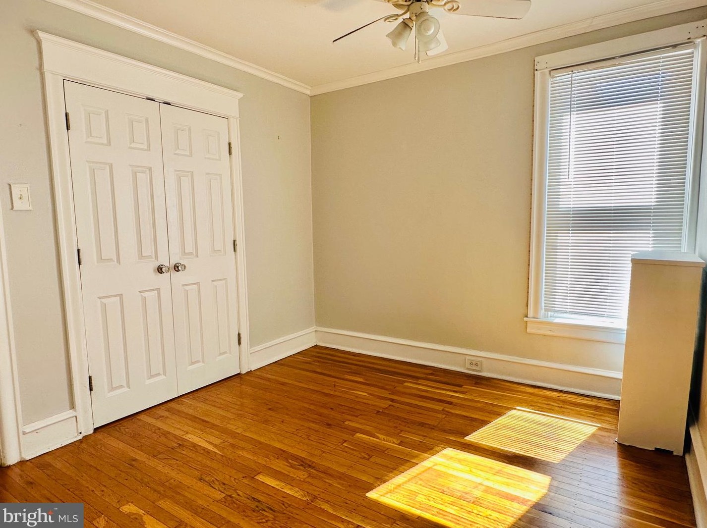 3320 Brighton St, Philadelphia PA  19149-2029 exterior