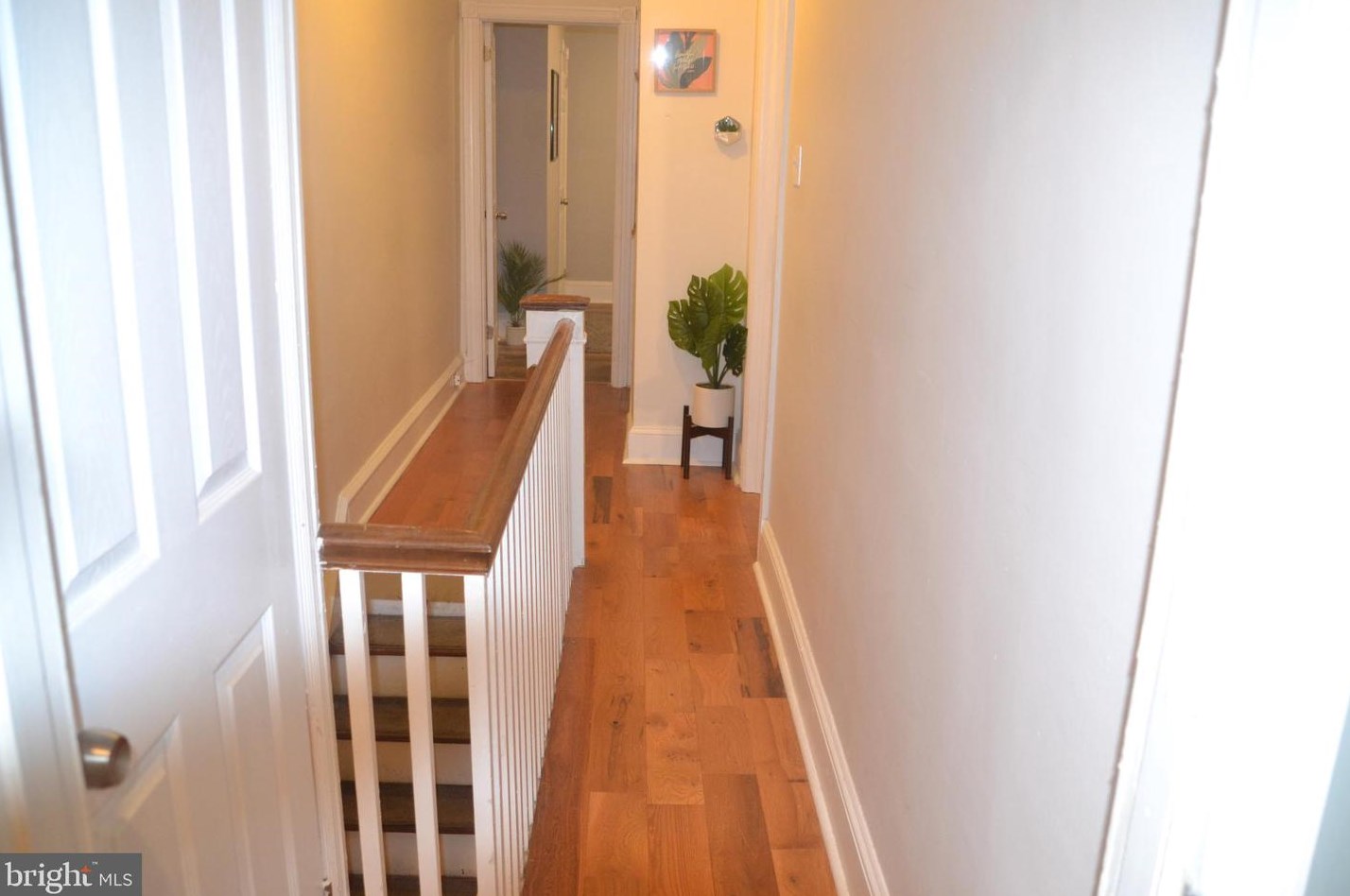 26 Pleasant St, Philadelphia PA  19119-2142 exterior