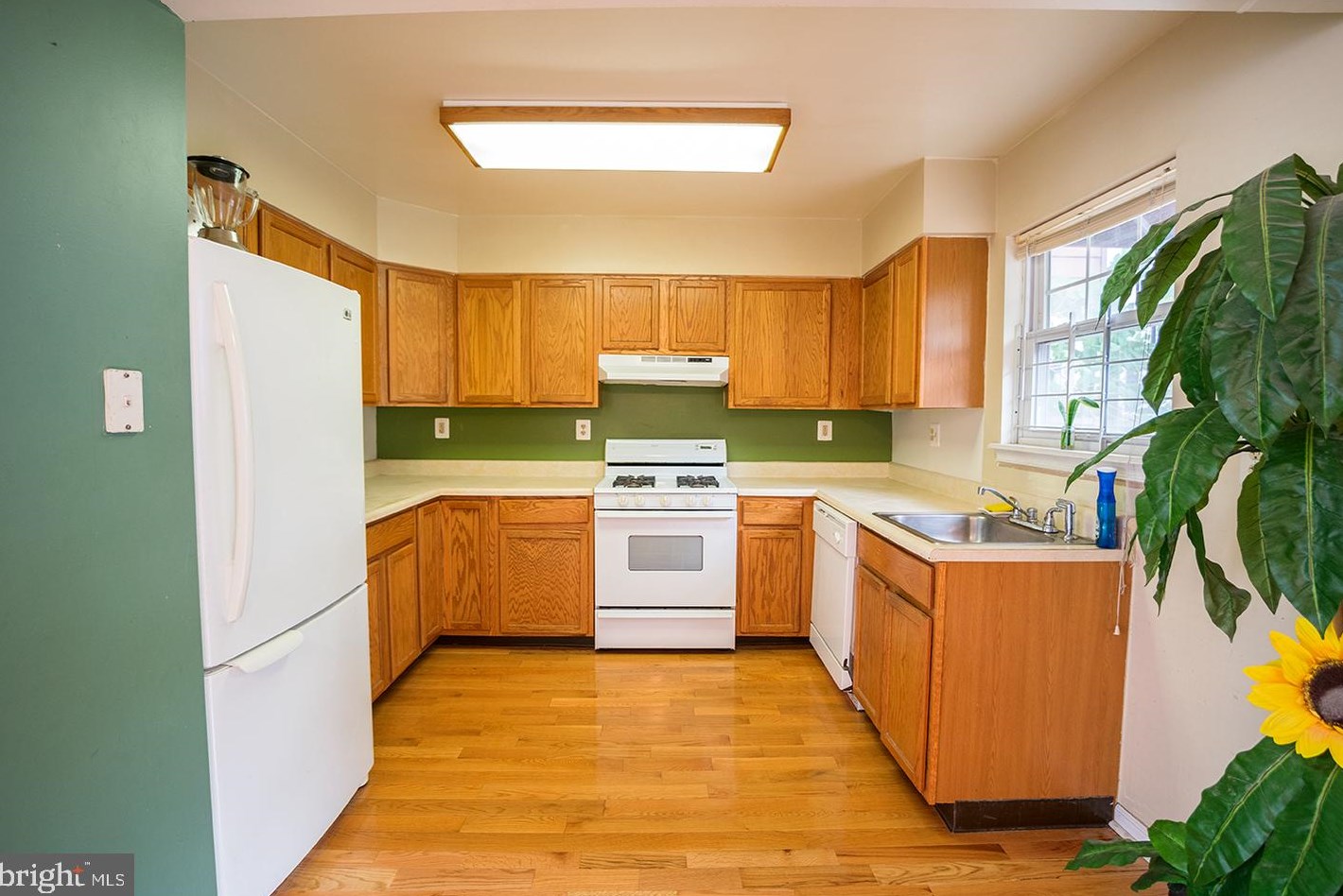 1155 S Mole St, Philadelphia, PA 19146
