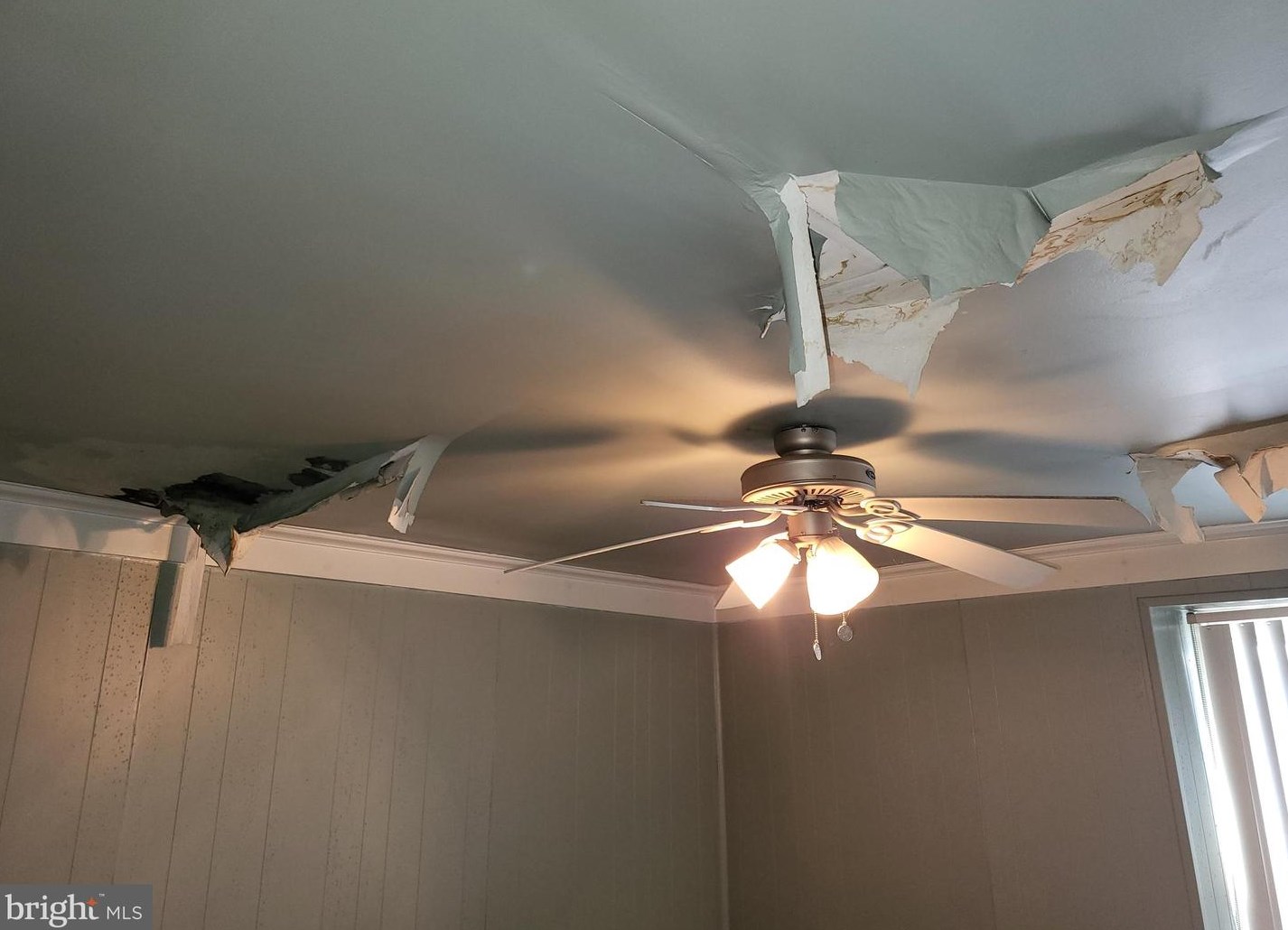 5121 Newhall St, Philadelphia PA 19144-4020 exterior