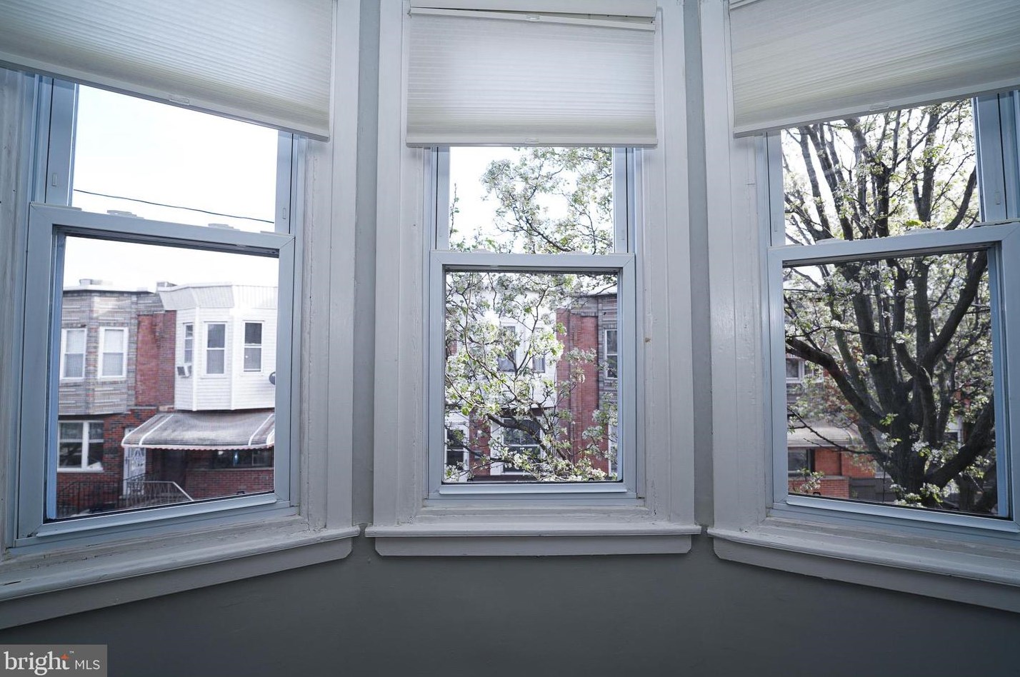 114 Tree St, Philadelphia PA  19148-3339 exterior