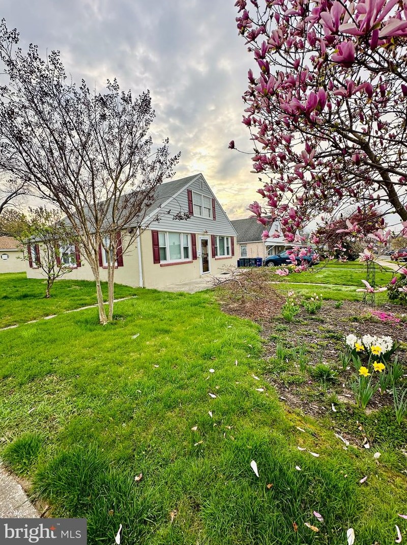1001 Ripley St, Philadelphia PA  19111-2630 exterior