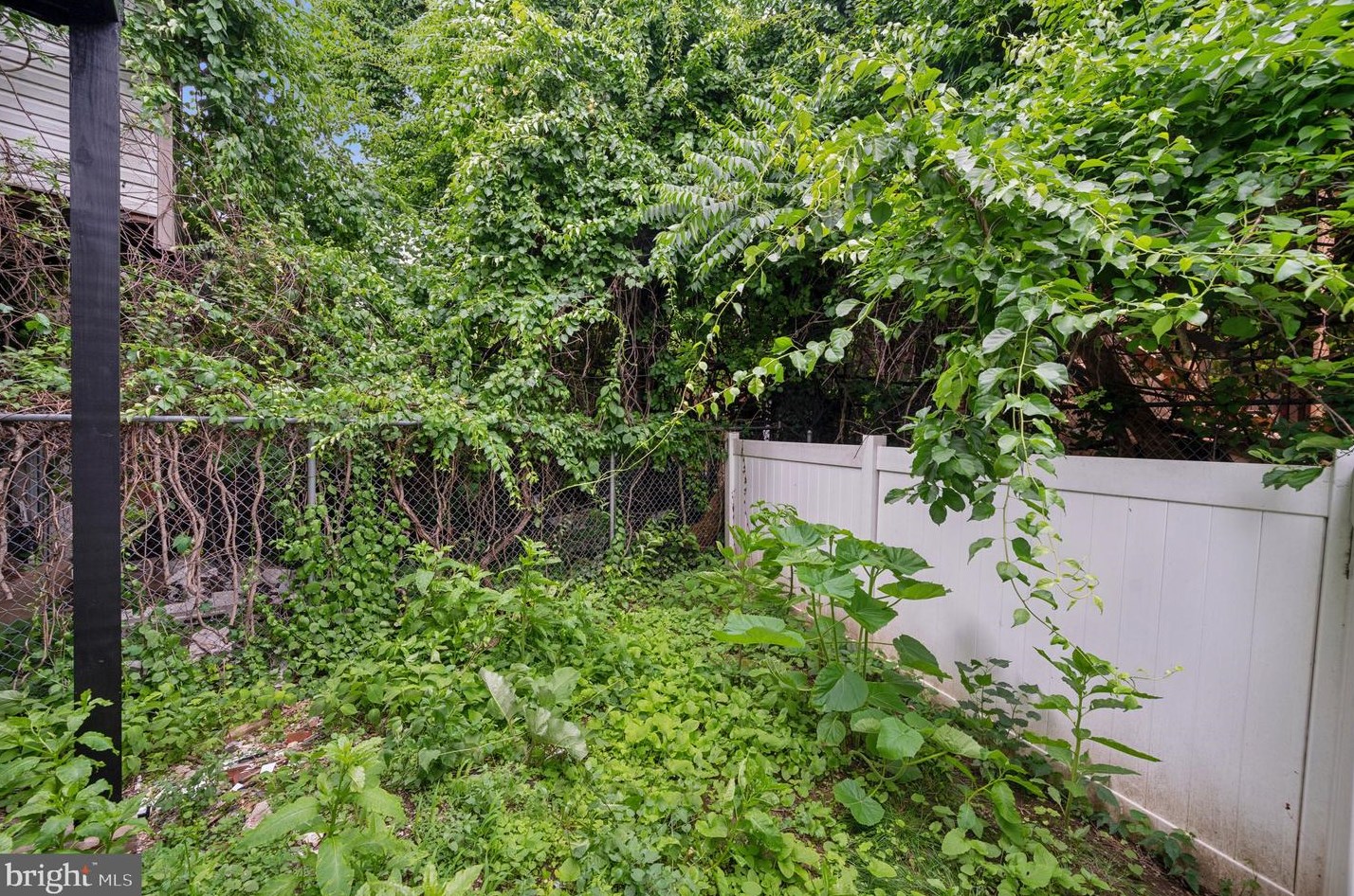 1222 Atlantic St, Philadelphia PA 19140-4006 exterior