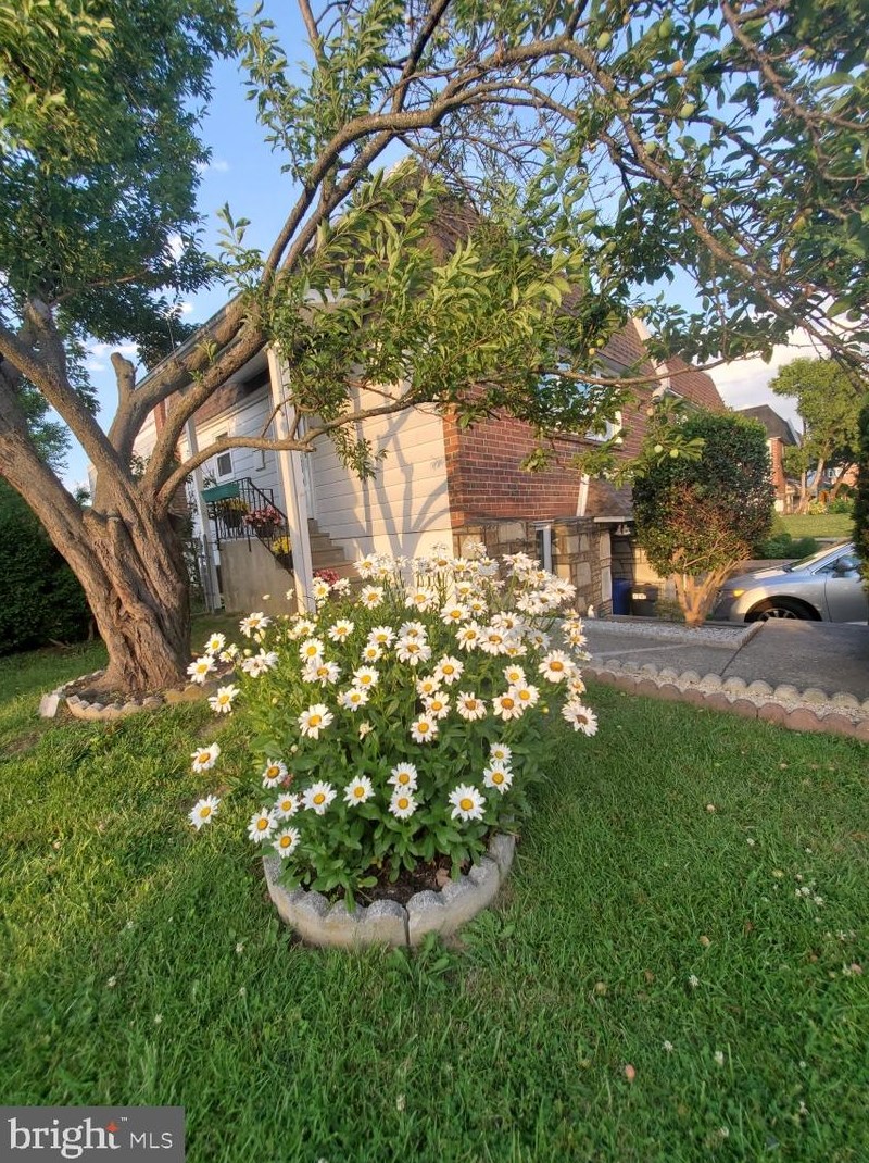 429 Rennard St, Philadelphia PA  19116-2717 exterior