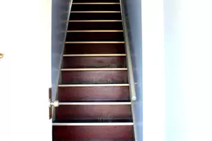 565 E Tabor Rd, Philadelphia, PA 19120 - Photo 8