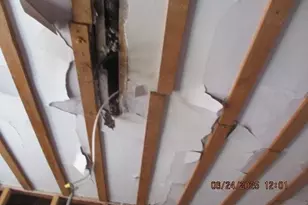 2965 Janney St, Philadelphia, PA 19134 - Photo 62