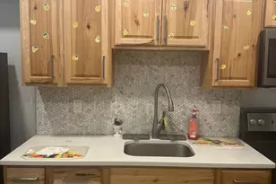 814 W Birch St, Philadelphia, PA 19133 - Photo 4