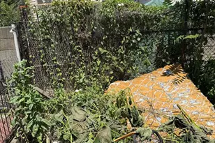 951 E Ontario St, Philadelphia, PA 19134 - Photo 4