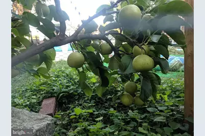 [Address not provided], Philadelphia, PA 19145 - Photo 6