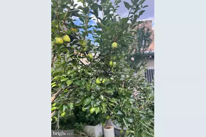 5011 Pentridge Street, Philadelphia, PA 19143 - Photo 36