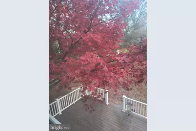 947 Caledonia Street, Philadelphia, PA 19128 - Photo 62