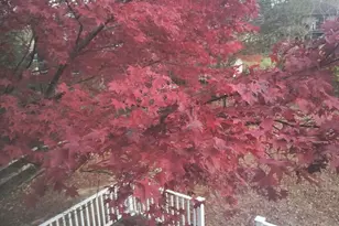 947 Caledonia St, Philadelphia, PA 19128 - Photo 62