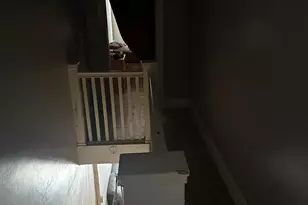 2841 Rosehill St, Philadelphia, PA 19134 - Photo 18