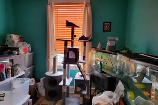 126 Rosemar St, Philadelphia, PA 19120 - Photo 12