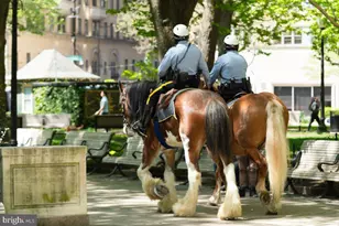 250 S 17th St, Philadelphia, PA 19103 - Photo 58