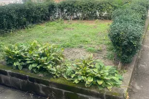 6245 Haverford Ave, Philadelphia, PA 19151 - Photo 4