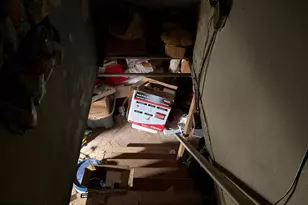 3905 Brandywine St, Philadelphia, PA 19104 - Photo 30