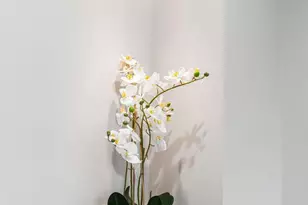 444 Poplar St, Philadelphia, PA 19123 - Photo 26