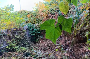 817 N Brooklyn St, Philadelphia, PA 19104 - Photo 8