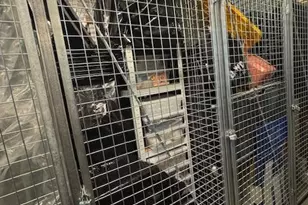 2101 Market St, Philadelphia, PA 19103 - Photo 34