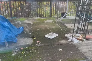 7245 Shalkop St, Philadelphia, PA 19128 - Photo 24