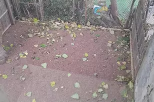 2515 N 4th St, Philadelphia, PA 19133 - Photo 48