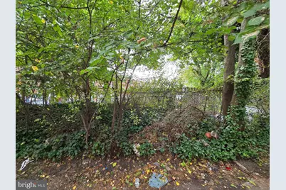 6066 E Roosevelt Boulevard, Philadelphia, PA 19149 - Photo 28