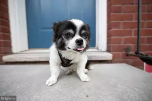 1926 Poplar St, Philadelphia, PA 19130 - Photo 24