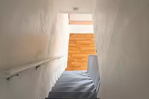 6207 Cardiff St, Philadelphia, PA 19149 - Photo 16