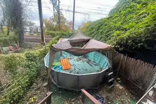 1156 Wagner Ave, Philadelphia, PA 19141 - Photo 6