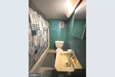 161 W Ruscomb Street, Philadelphia, PA 19120 - Photo 28