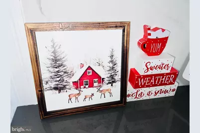 3019 Saint Vincent Street, Philadelphia, PA 19149 - Photo 22