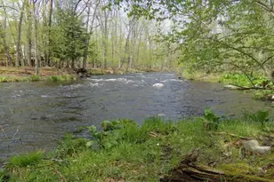 235 Stafford Dr, Bushkill, PA 18324 - Photo 60