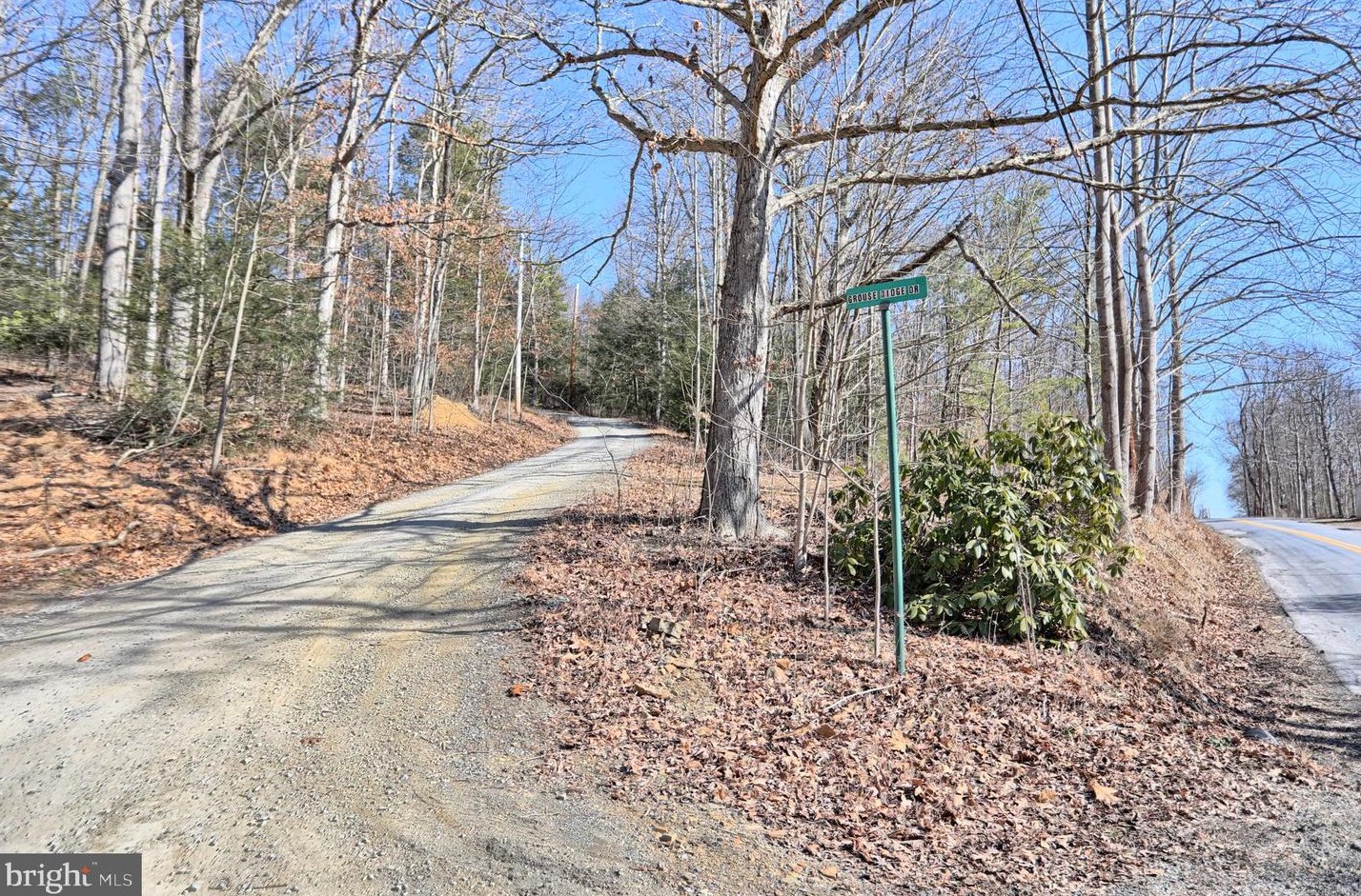 305 Grouse Ridge Dr, Eshcol, PA 17062