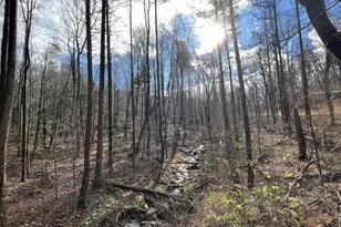 1092 Robinson Rd, Blain, PA 17006 - Photo 12