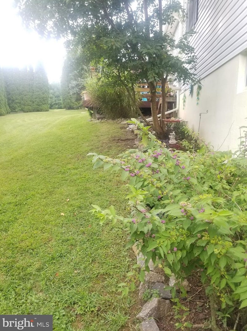 1134 Fawn Cv, Brommerstown PA  17922-9230 exterior