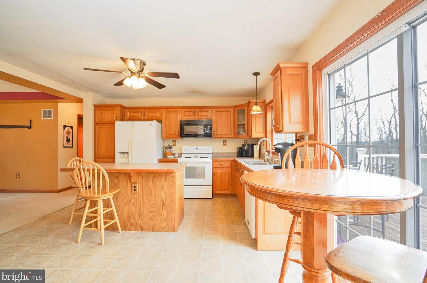 250 Whitetail Crossing Rd, Hometown PA  18252-5433 exterior