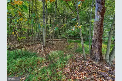 11 Fir Road, Pottsville, PA 17901 - Photo 22