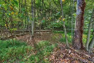 11 Fir Rd, Pottsville, PA 17901 - Photo 22