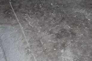 224 Main St, Gilberton, PA 17934 - Photo 6